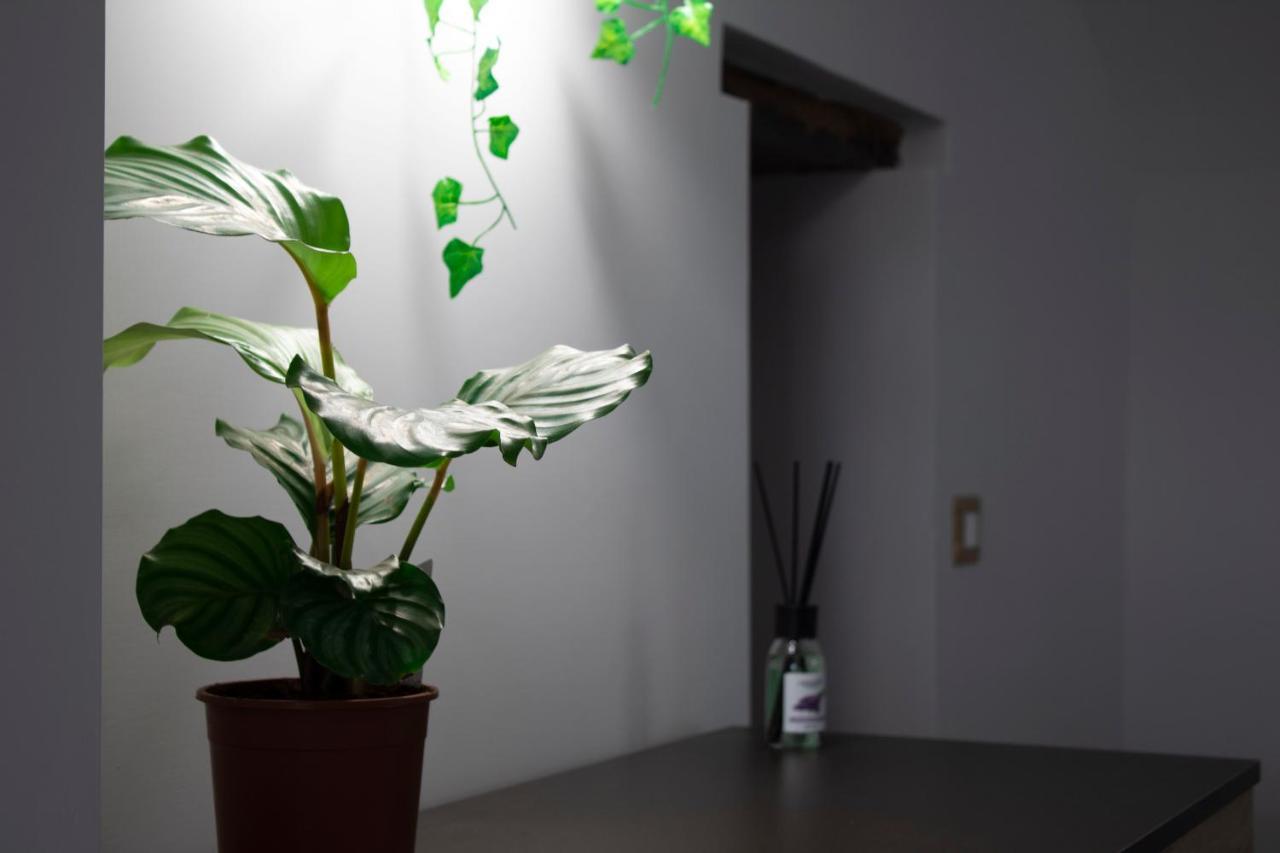 Gregorius Chiringuito Apartment Napoli Ngoại thất bức ảnh