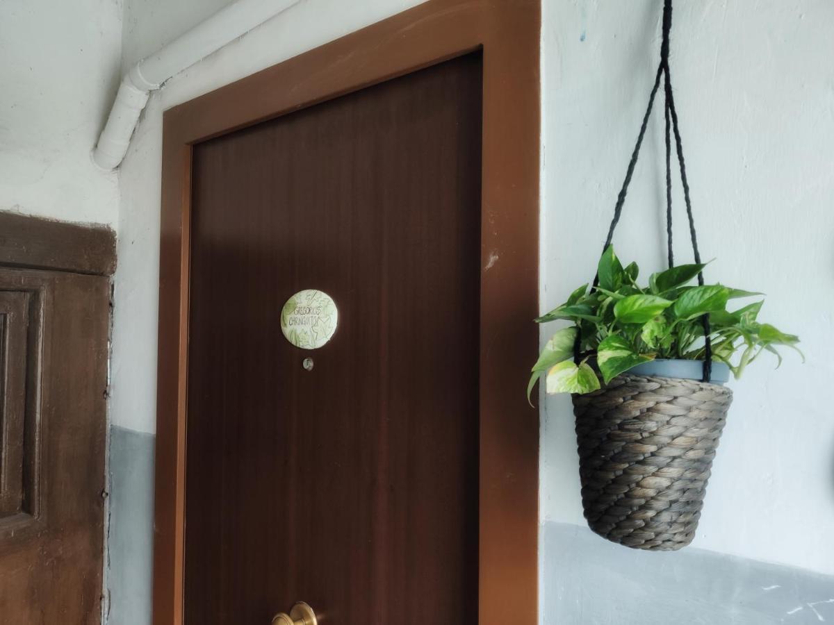 Gregorius Chiringuito Apartment Napoli Ngoại thất bức ảnh